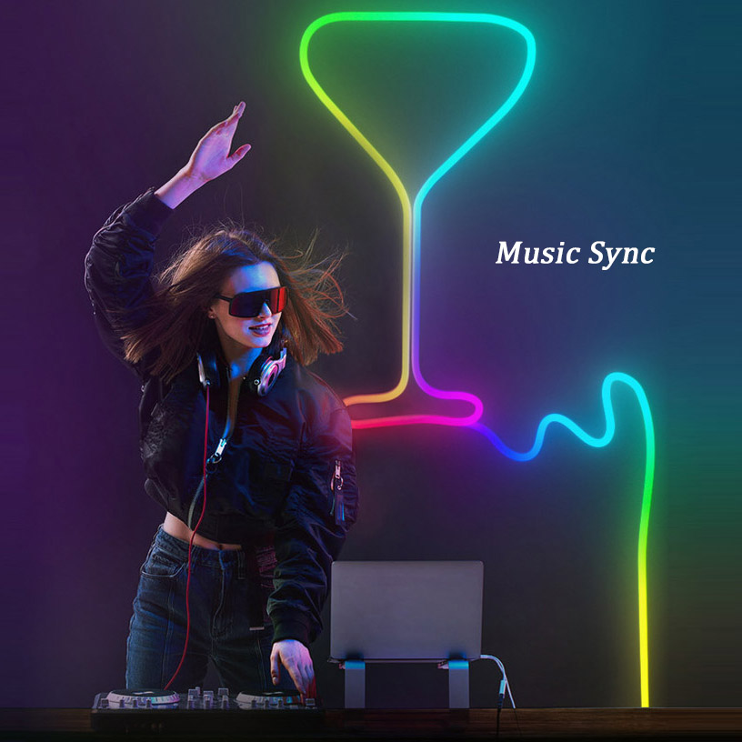 WiFi Bluetooth Music Dream Color RGBIC LED Neon Strip Light Kit 1~5m